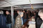 IMG_9254